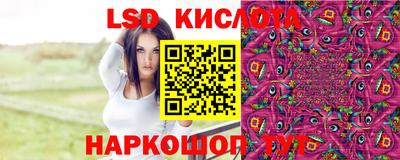 гидра Малгобек